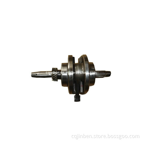 Motorcycle Crankshaft for 50/70/90/100/110/125cc Motorcycle Engine (TZHCS)